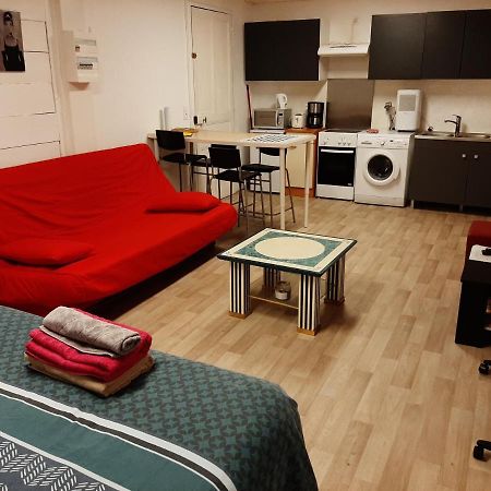 Studio 35M2 Terrasse Et Jardin Quartier Calme Au Centre Ville De Lourdes Luaran gambar